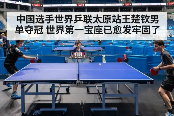 table tennis final match
