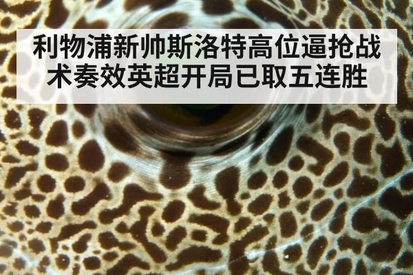 利物浦新帅斯洛特高位逼抢战术奏效英超开局已取五连胜