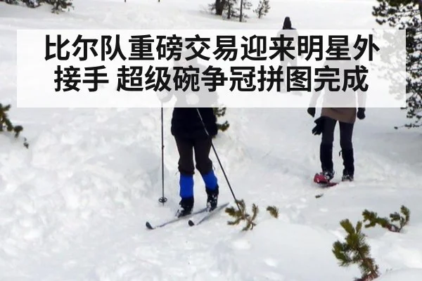 比尔队重磅交易迎来明星外接手 超级碗争冠拼图完成